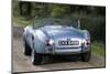 1964 AC Cobra MKII 289-null-Mounted Photographic Print