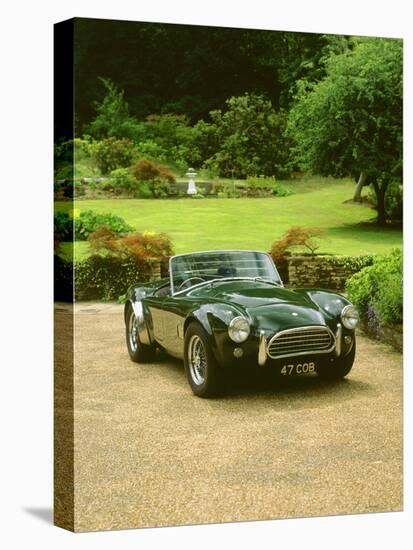 1964 AC Cobra-null-Stretched Canvas