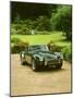 1964 AC Cobra-null-Mounted Photographic Print