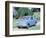 1964 Ford Anglia 105E-null-Framed Photographic Print