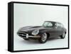 1964 Jaguar E type 3.8 litre-null-Framed Stretched Canvas