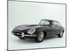 1964 Jaguar E type 3.8 litre-null-Mounted Photographic Print