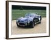 1965 AC Shelby Cobra 427-null-Framed Photographic Print