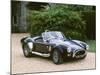 1965 AC Shelby Cobra 7 litre-null-Mounted Photographic Print