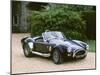 1965 AC Shelby Cobra 7 litre-null-Mounted Photographic Print