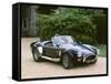 1965 AC Shelby Cobra 7 litre-null-Framed Stretched Canvas