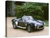 1965 AC Shelby Cobra 7 litre-null-Stretched Canvas