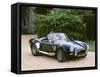 1965 AC Shelby Cobra 7 litre-null-Framed Stretched Canvas