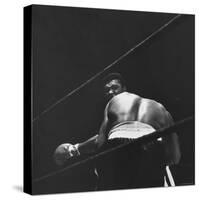 1965 Boxing Match Between the Heavyweight Champ Sonny Liston and Challenger Cassius Clay-George Silk-Stretched Canvas