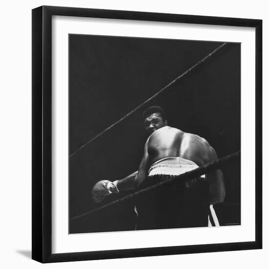 1965 Boxing Match Between the Heavyweight Champ Sonny Liston and Challenger Cassius Clay-George Silk-Framed Premium Photographic Print