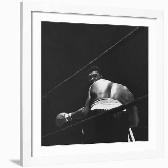 1965 Boxing Match Between the Heavyweight Champ Sonny Liston and Challenger Cassius Clay-George Silk-Framed Premium Photographic Print