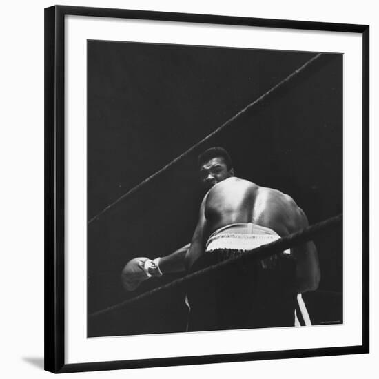 1965 Boxing Match Between the Heavyweight Champ Sonny Liston and Challenger Cassius Clay-George Silk-Framed Premium Photographic Print