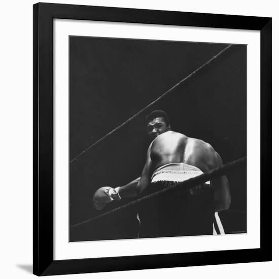 1965 Boxing Match Between the Heavyweight Champ Sonny Liston and Challenger Cassius Clay-George Silk-Framed Premium Photographic Print