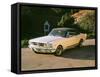 1965 Ford Mustang-null-Framed Stretched Canvas