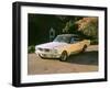 1965 Ford Mustang-null-Framed Photographic Print