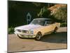 1965 Ford Mustang-null-Mounted Photographic Print