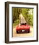 1965 GM Corvette Sting Ray-null-Framed Art Print