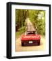 1965 GM Corvette Sting Ray-null-Framed Art Print