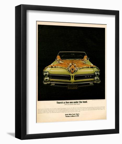 1965 Pontiac Gto Tiger Hood-null-Framed Art Print