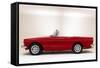 1965 Sunbeam Tiger Alpine 260-null-Framed Stretched Canvas