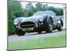 1966 AC Cobra 427-null-Mounted Photographic Print