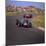 1966 Dutch Grand Prix, Jackie Stewart in BRM-null-Mounted Photographic Print