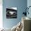 1966 Ford Mustang 289 GT-null-Photographic Print displayed on a wall