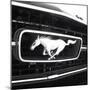 1966 Ford Mustang 289 GT-null-Mounted Photographic Print
