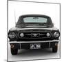 1966 Ford Mustang 289 GT-null-Mounted Photographic Print