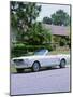 1966 Ford Mustang Convertible-null-Mounted Photographic Print