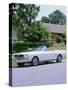 1966 Ford Mustang Convertible-null-Stretched Canvas