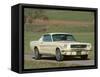 1966 Ford Mustang Fastback-null-Framed Stretched Canvas