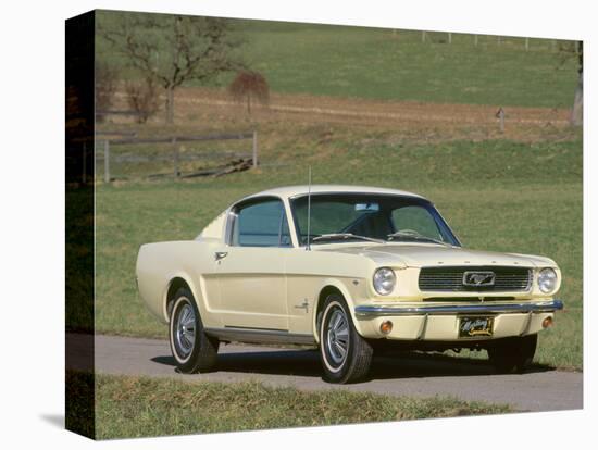 1966 Ford Mustang Fastback-null-Stretched Canvas
