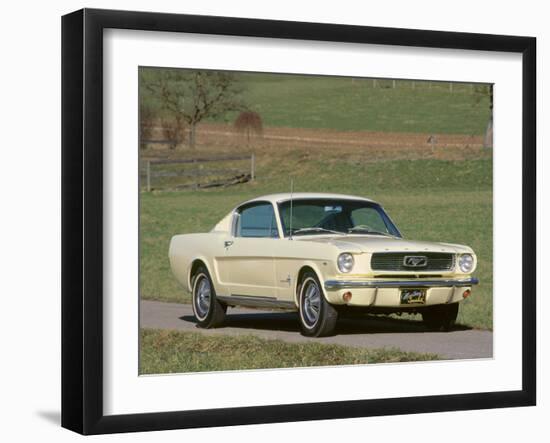 1966 Ford Mustang Fastback-null-Framed Photographic Print