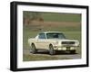 1966 Ford Mustang Fastback-null-Framed Photographic Print