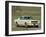 1966 Ford Mustang Fastback-null-Framed Photographic Print