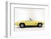 1967 Chevrolet Corvette Stingray-null-Framed Photographic Print