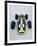 1967 Lotus 49 CR3-null-Framed Photographic Print