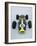 1967 Lotus 49 CR3-null-Framed Photographic Print