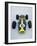 1967 Lotus 49 CR3-null-Framed Photographic Print