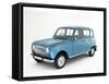 1967 Renault 4-null-Framed Stretched Canvas