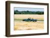 1967 Triumph Spitfire mark3-null-Framed Photographic Print