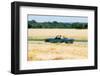 1967 Triumph Spitfire mark3-null-Framed Photographic Print