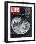 1968 Special Issue, NASA Shot of Earth from Space, Apollo 8 Mission, January 10, 1969-null-Framed Photographic Print