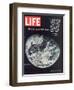 1968 Special Issue, NASA Shot of Earth from Space, Apollo 8 Mission, January 10, 1969-null-Framed Photographic Print