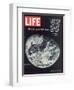 1968 Special Issue, NASA Shot of Earth from Space, Apollo 8 Mission, January 10, 1969-null-Framed Photographic Print