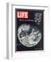 1968 Special Issue, NASA Shot of Earth from Space, Apollo 8 Mission, January 10, 1969-null-Framed Premium Photographic Print