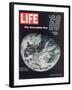 1968 Special Issue, NASA Shot of Earth from Space, Apollo 8 Mission, January 10, 1969-null-Framed Photographic Print