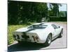 1969 Ford GT40-null-Mounted Photographic Print
