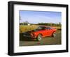 1969 Ford Mustang Mach 1-null-Framed Photographic Print